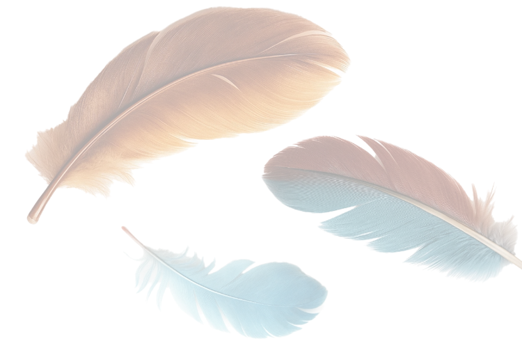 Drei zarte Federn in sanften Farben, beige und blau, auf hellem Hintergrund.
