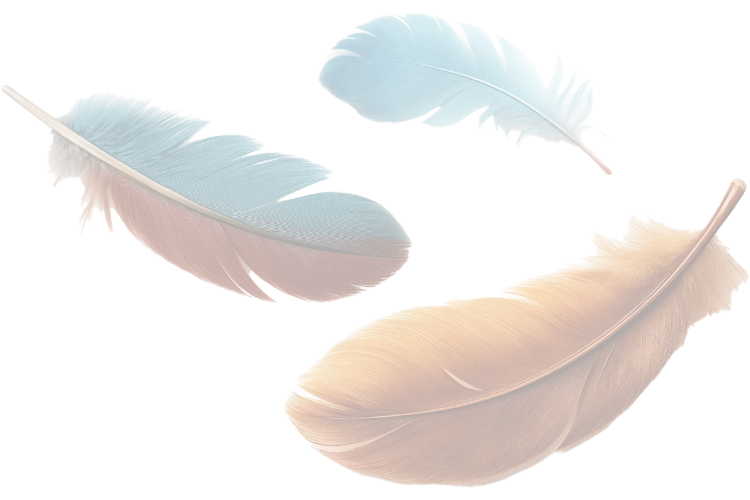 drei schwebende Federn in blau, orange und rot als harmonisches Designelement