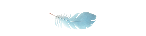 Hellblaues Feder mit sanften, geschwungenen Linien und zartem, weichem Aussehen.