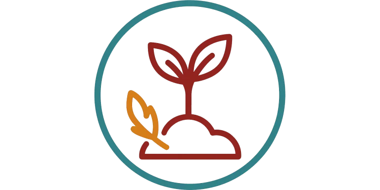 wachsender Pflanzentrieb mit goldener Feder – symbolisiert Werte wie Entwicklung, Achtsamkeit und Naturverbundenheit